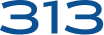 313